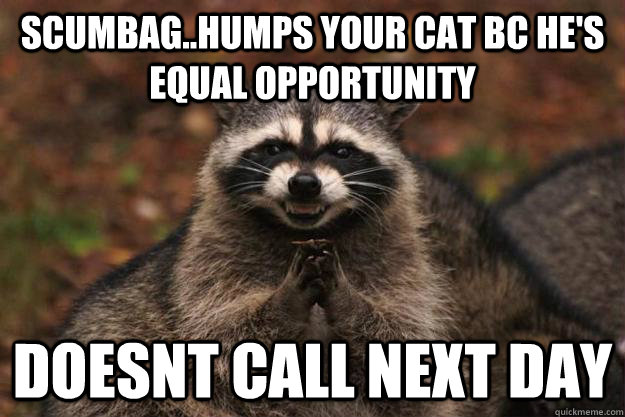 scumbag..humps your cat bc he's equal opportunity doesnt call next day  Evil Plotting Raccoon