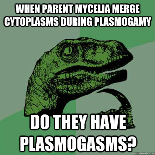 When parent mycelia merge cytoplasms during plasmogamy do they have plasmogasms?  Philosoraptor