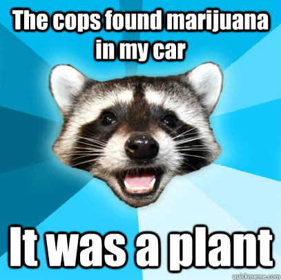 The cops found marijuana in my car It was a plant - The cops found marijuana in my car It was a plant  Lame Pun Coon