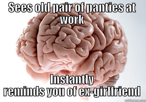 SEES OLD PAIR OF PANTIES AT WORK INSTANTLY REMINDS YOU OF EX-GIRLFRIEND Scumbag Brain