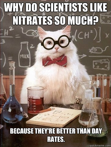 Why do scientists like nitrates so much? Because they're better than day rates. - Why do scientists like nitrates so much? Because they're better than day rates.  Chemistry Cat