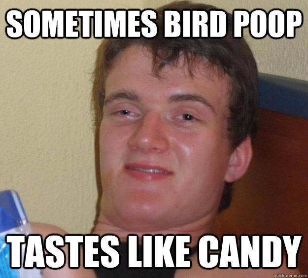 sometimes bird poop tastes like candy - sometimes bird poop tastes like candy  10 Guy