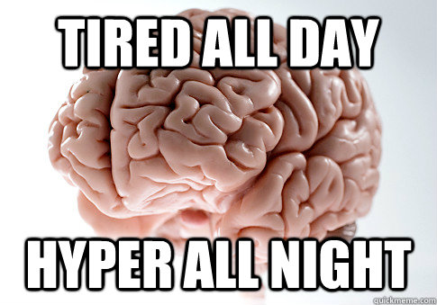 tired all day hyper all night - tired all day hyper all night  Scumbag Brain