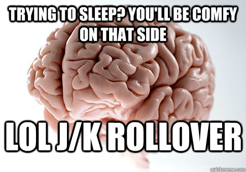 Trying to sleep? You'll be comfy on that side lol J/k rollover  Scumbag Brain