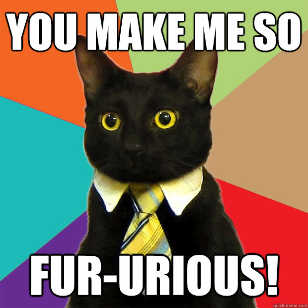 you make me so  Fur-urious!   Business Cat