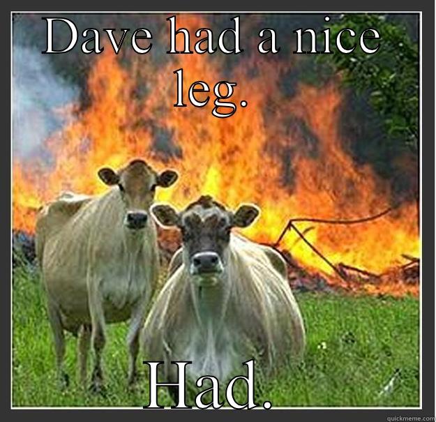 DAVE HAD A NICE LEG. HAD. Evil cows