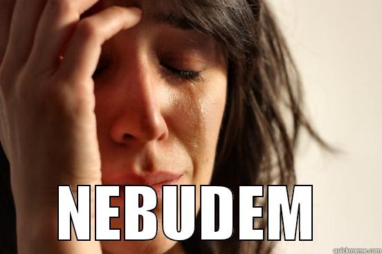  NEBUDEM First World Problems