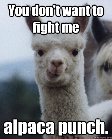 You don't want to fight me alpaca punch.  