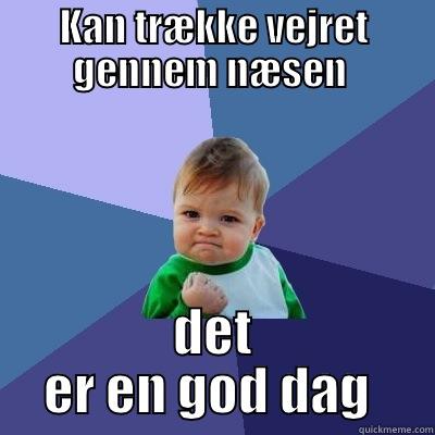 KAN TRÆKKE VEJRET GENNEM NÆSEN  DET ER EN GOD DAG  Success Kid