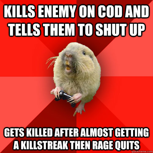 kills enemy on cod and tells them to shut up gets killed after almost getting a killstreak then rage quits  Gaming Gopher