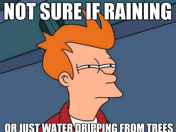 Not sure if raining Or just water dripping from trees  Futurama Fry