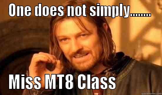 ONE DOES NOT SIMPLY........ MISS MT8 CLASS             Boromir