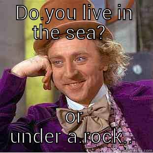 DO.YOU LIVE IN THE SEA?   OR UNDER A.ROCK..  Condescending Wonka