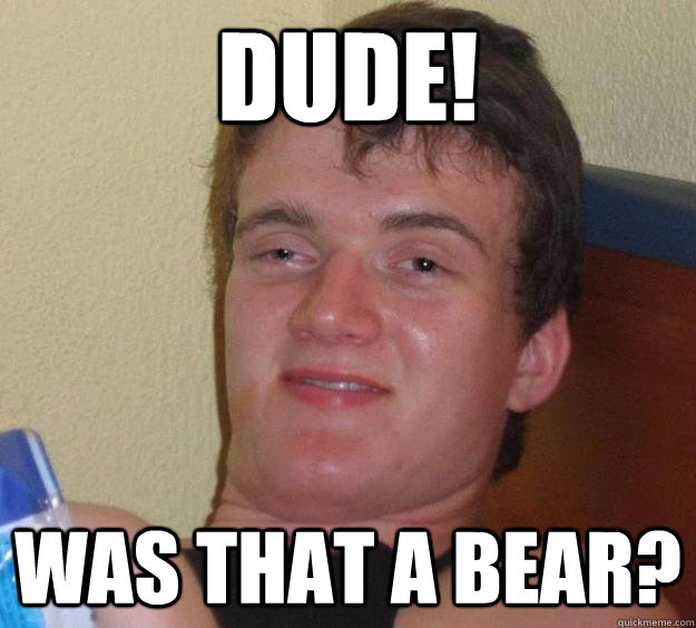 Dude! was that a bear?  10 Guy