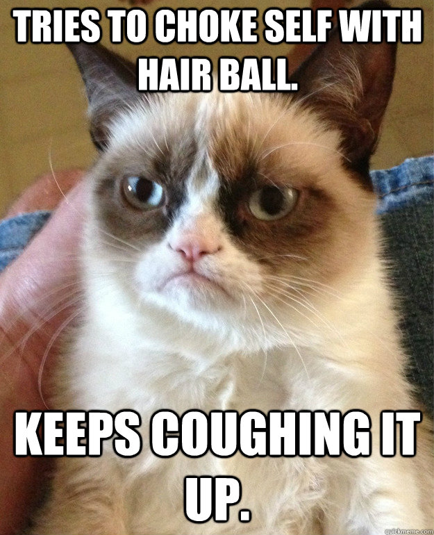 Tries to choke self with hair ball. Keeps coughing it up.  Grumpy Cat