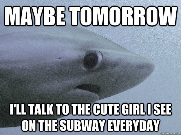 Maybe Tomorrow I'll talk to the cute girl I see on the subway everyday  Shy Shark