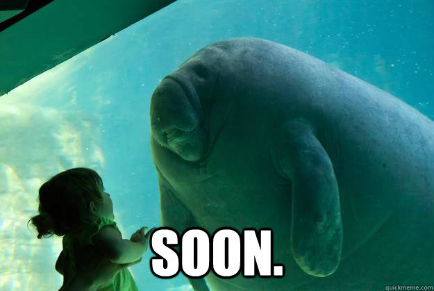  Soon. -  Soon.  Overlord Manatee