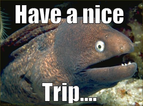 HAVE A NICE TRIP.... Bad Joke Eel