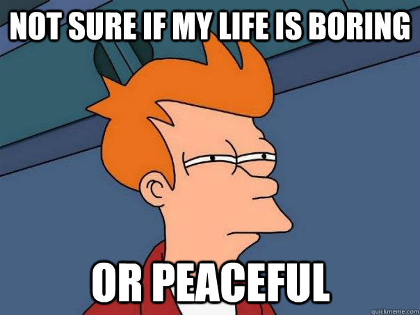 Not sure if my life is boring or peaceful  Futurama Fry