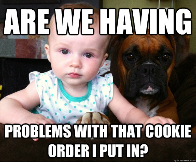 Are we having problems with that cookie order I put in? - Are we having problems with that cookie order I put in?  Doggie protector