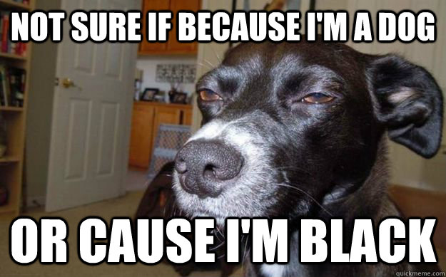 Not sure if because i'm a dog Or cause I'm Black  Skeptical Mutt