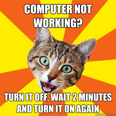 computer not working? turn it off, wait 2 minutes and turn it on again  Bad Advice Cat