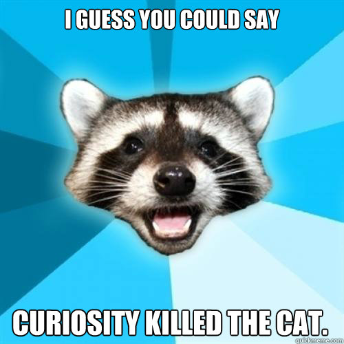 I guess you could say Curiosity Killed the cat.  