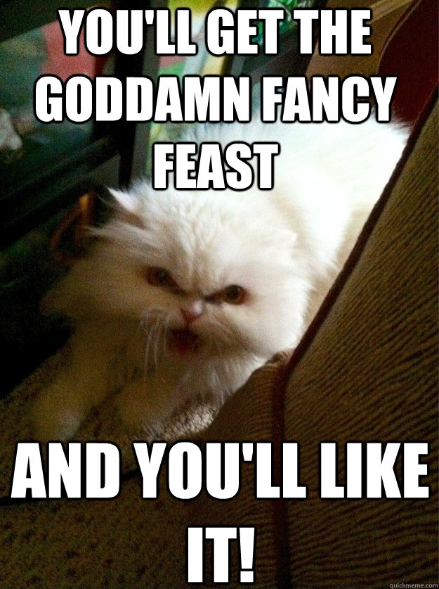 You'll get the goddamn fancy feast And you'll like it!  Demanding Cat