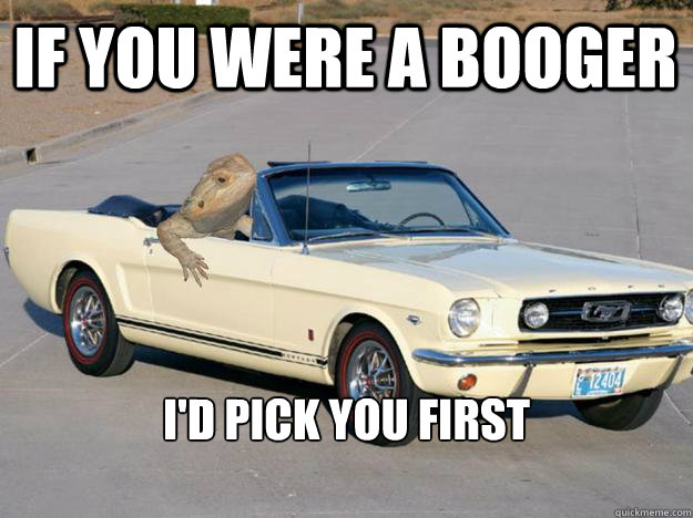 if you were a booger i'd pick you first

 - if you were a booger i'd pick you first

  Pickup Dragon