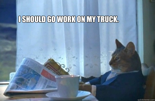 I should go work on my truck.  Sophisticated Cat