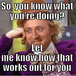 SO, YOU KNOW WHAT YOU'RE DOING? LET ME KNOW HOW THAT WORKS OUT FOR YOU Condescending Wonka