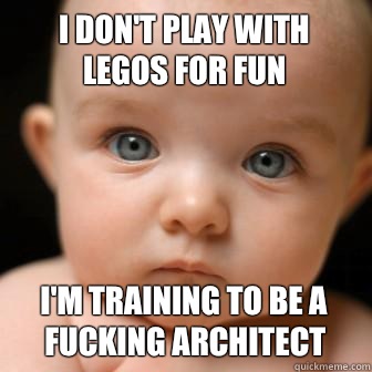 I don't play with legos for fun I'm training to be a fucking architect   Serious Baby