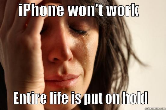       IPHONE WON'T WORK            ENTIRE LIFE IS PUT ON HOLD    First World Problems