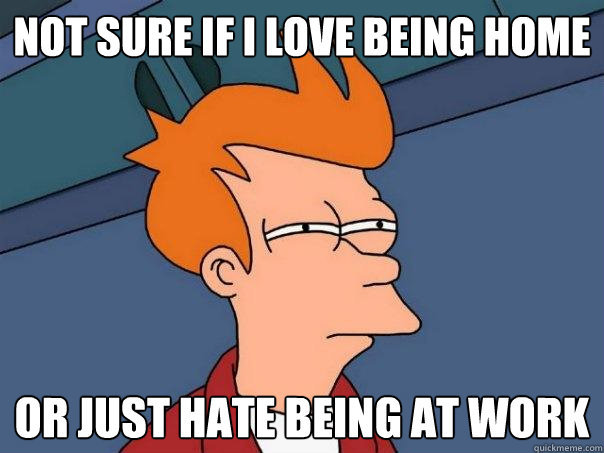 Not sure if I love being home Or just hate being at work - Not sure if I love being home Or just hate being at work  Futurama Fry