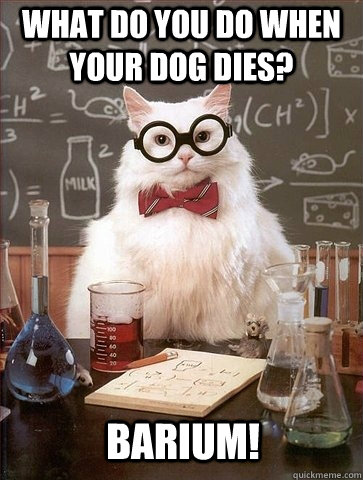 What do you do when your dog dies? Barium!  Chemistry Cat