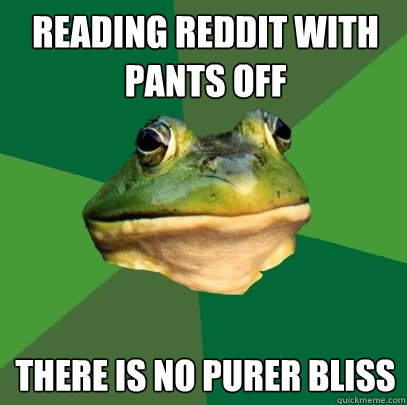 reading reddit with pants off there is no purer bliss - reading reddit with pants off there is no purer bliss  Foul Bachelor Frog