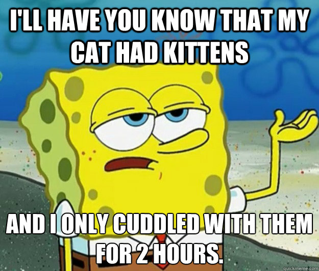 I'll have you know that my cat had kittens And I only cuddled with them for 2 hours. - I'll have you know that my cat had kittens And I only cuddled with them for 2 hours.  Tough Spongebob