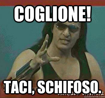 coglione! taci, schifoso. - coglione! taci, schifoso.  Richard Benson Meme