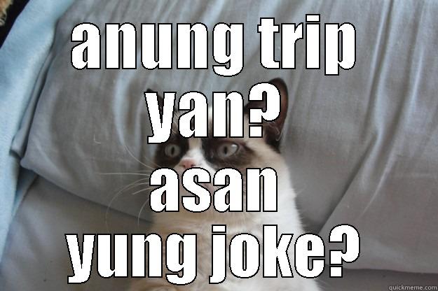 ANUNG TRIP YAN? ASAN YUNG JOKE? Grumpy Cat