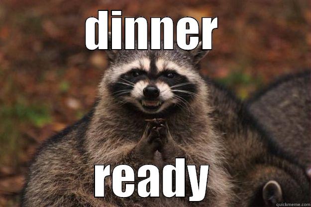 DINNER READY Evil Plotting Raccoon