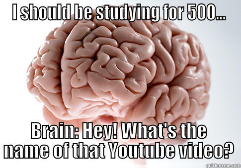 I SHOULD BE STUDYING FOR 500... BRAIN: HEY! WHAT'S THE NAME OF THAT YOUTUBE VIDEO? Scumbag Brain