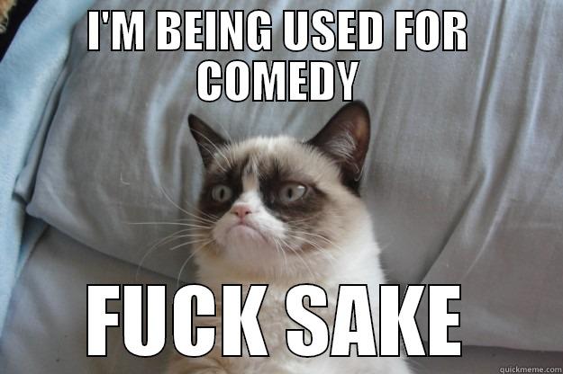 I'M BEING USED FOR COMEDY FUCK SAKE Grumpy Cat