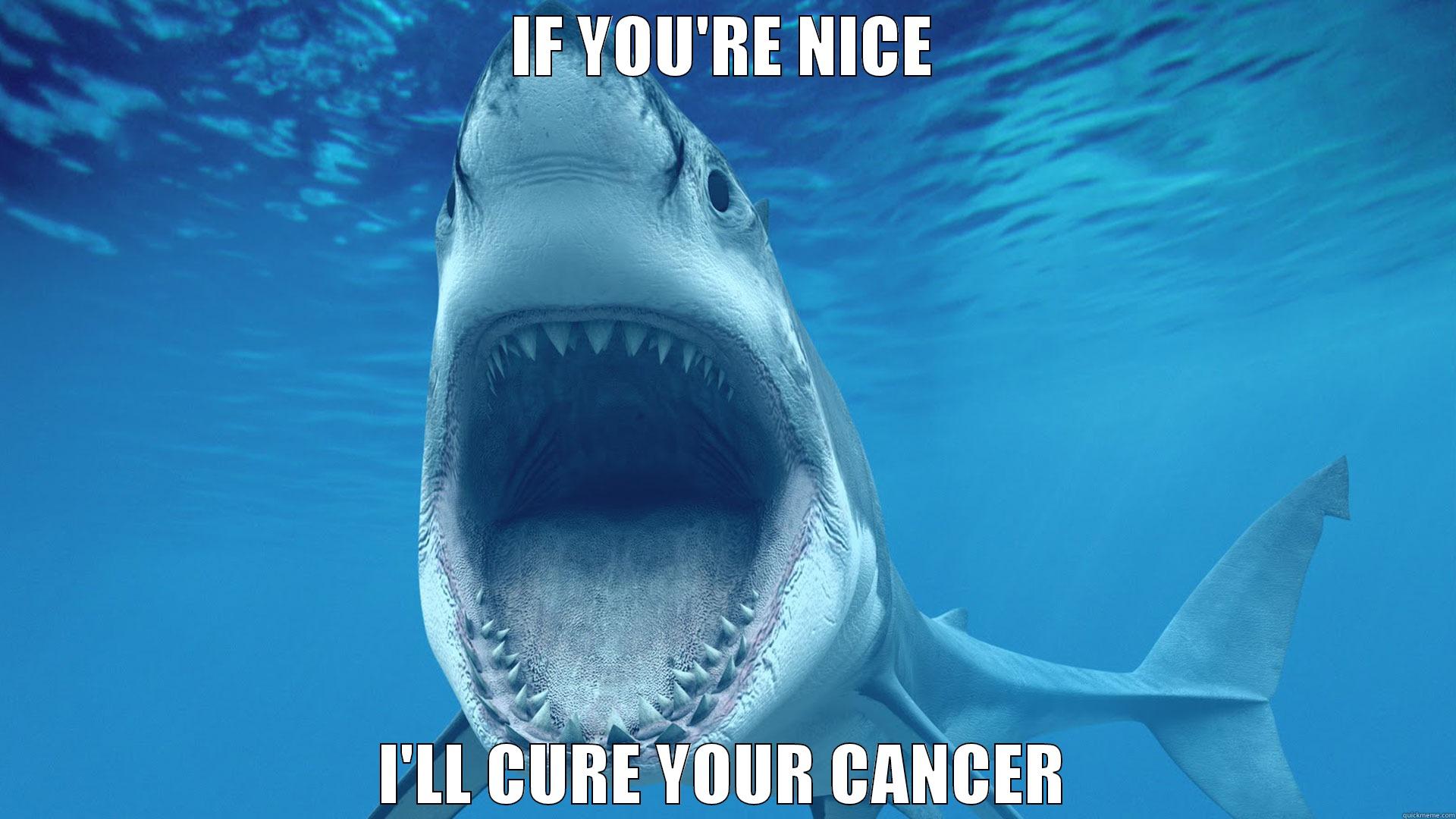 Shark anti cancer - IF YOU'RE NICE I'LL CURE YOUR CANCER Misc