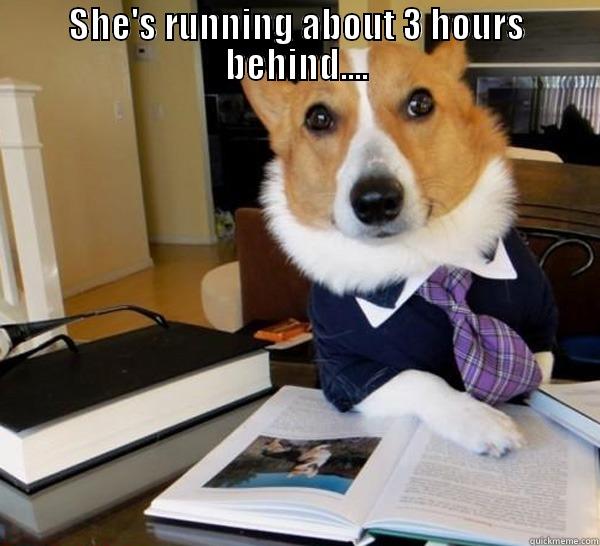 SHE'S RUNNING ABOUT 3 HOURS BEHIND....  Lawyer Dog