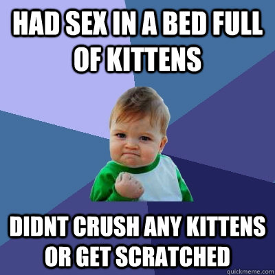 had sex in a bed full of kittens didnt crush any kittens or get scratched  Success Kid