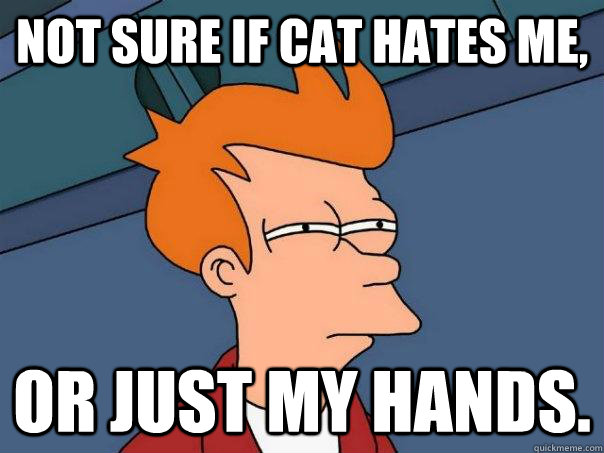 Not sure if cat hates me,  or just my hands.  Futurama Fry