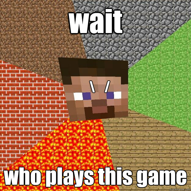 wait who plays this game \ /  Minecraft