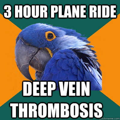 3 HOUR PLANE RIDE deep vein thrombosis - 3 HOUR PLANE RIDE deep vein thrombosis  Paranoid Parrot