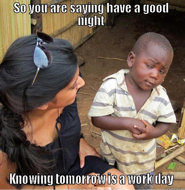 SO YOU ARE SAYING HAVE A GOOD NIGHT KNOWING TOMORROW IS A WORK DAY Skeptical Third World Kid