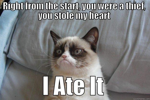 RIGHT FROM THE START, YOU WERE A THIEF, YOU STOLE MY HEART I ATE IT Grumpy Cat